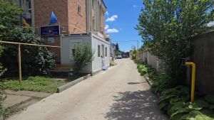 Suspiciune de boală Aujeszky într-o fermă de reproducţie din judeţul Buzău